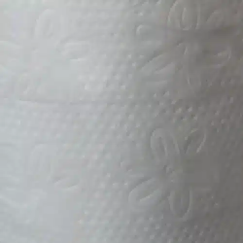 Papel higiénico doble hoja - 24 rollos de 27 metros - Imagen 3