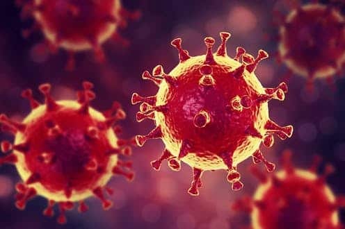 Cómo evitar la transmisión de un virus