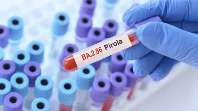 Nueva variante Pirola de covid-19: cómo evitar el contagio